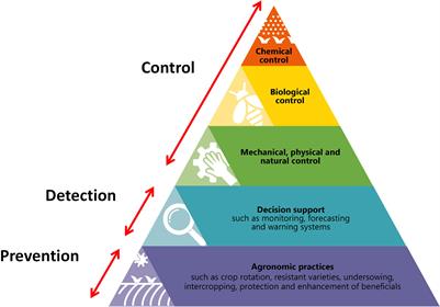 Pest insect management in vegetable crops grown outdoors in northern Europe – approaches at the bottom of the IPM pyramid